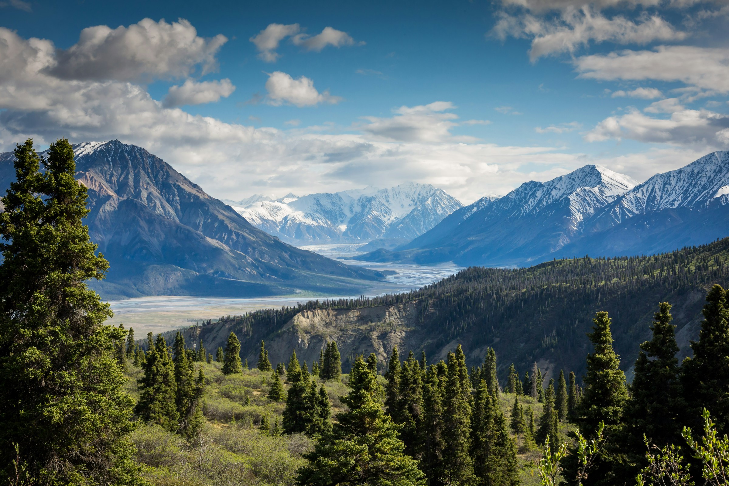 Thomas Austin | Colorado Life Therapy